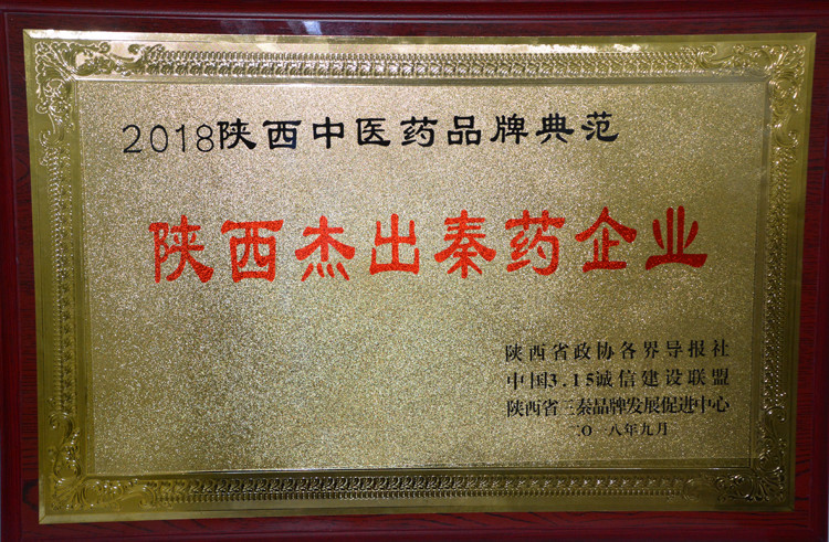 2018年陕西杰出秦药企业