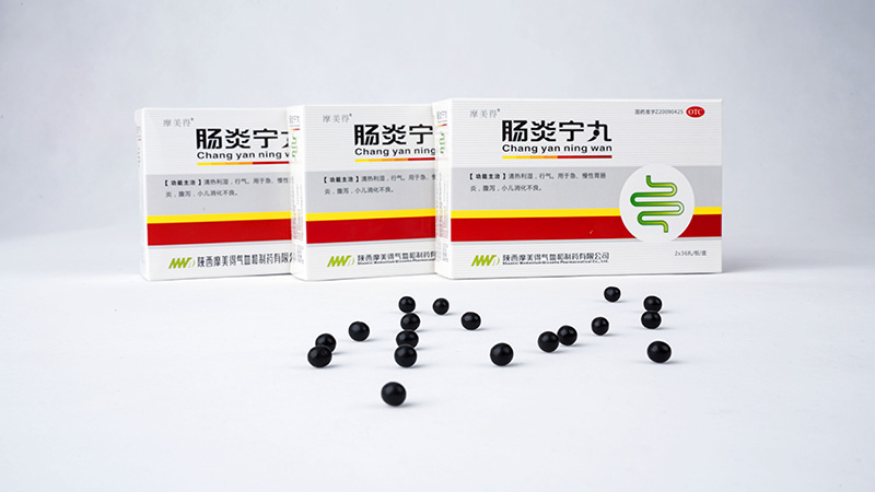 肠炎宁丸